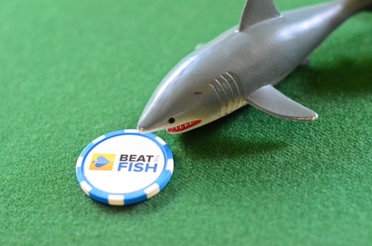 What role will you fill in the online poker ecosystem?