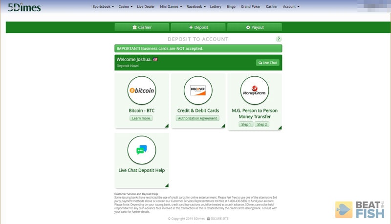 5Dimes Deposit Methods