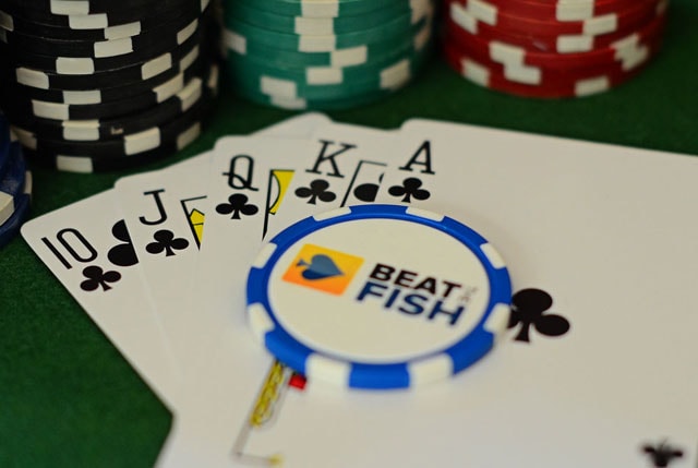 Beat The Fish Poker Photography