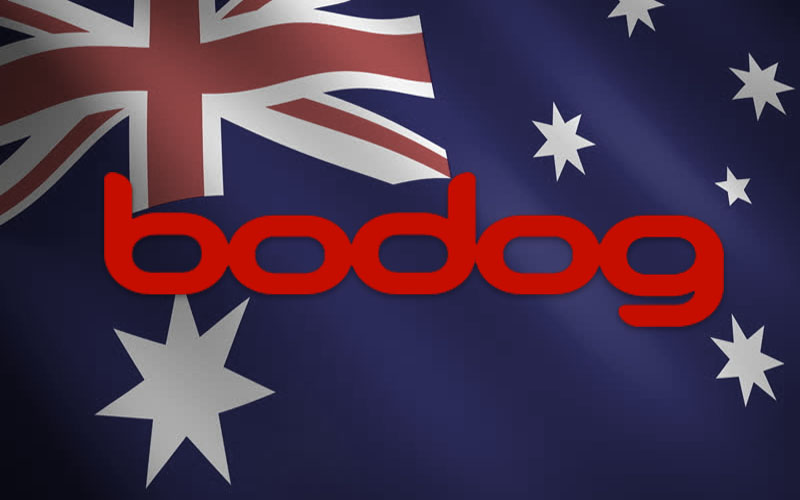 Bodog88 in Australia's Poker Market