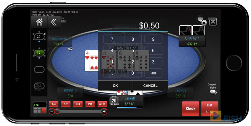 Bet Size on Poker Cash Games