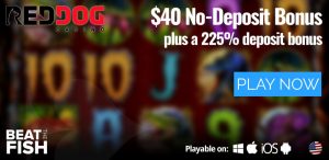 Play Now at Red Dog Casino