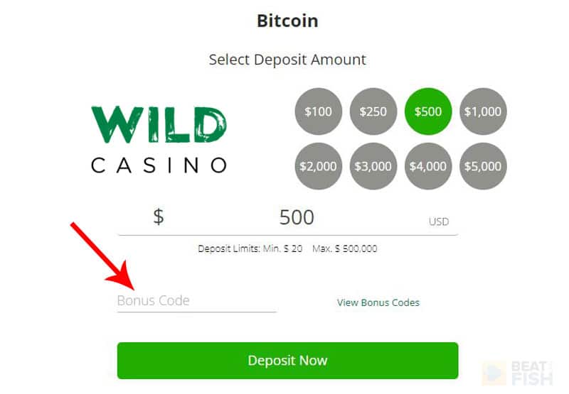 wild casino free spins codes