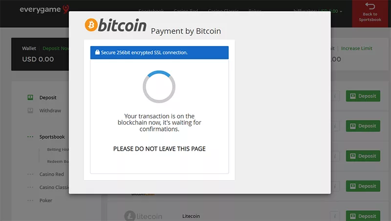 bitcoin everygame deposit
